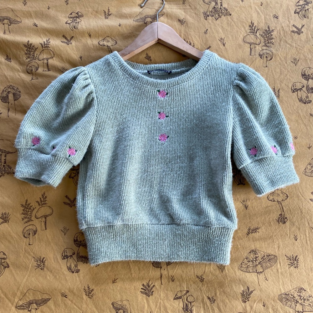 Zara fuzzy sweater